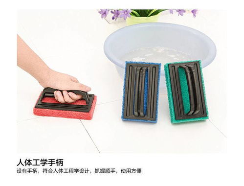 浴室清潔刷帶手柄衛(wèi)生間瓷磚玻璃地板刷廚房去污洗鍋魔力海綿擦